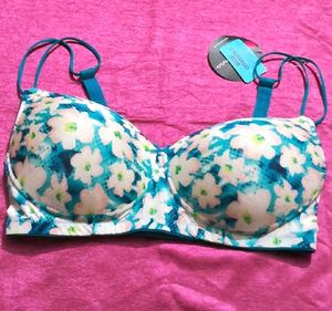 Clovia Bra Size 36E