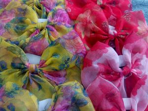 Pack Of 10 Georgette Bow Clips