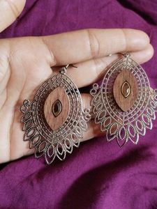 Sliver Earrings/ Stunning Earning