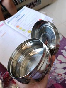 Tiffin Container