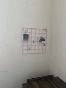 Wall Decor Vision Boar