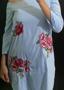 ZARA Floral Embroidered Dress