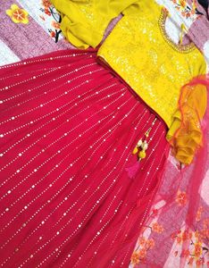 Elegant Lehenga Choli Set