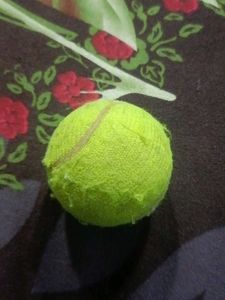 Tennis Ball