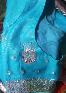 Glittering Net Saree