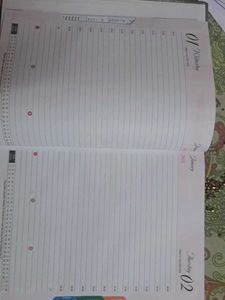 Diary 2025