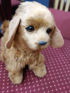 Puppy - Sensor Toy