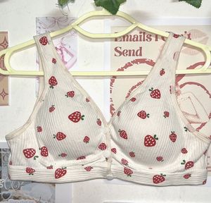 Strawberry Print Bra