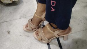 Black, Camel,Silver Slippers
