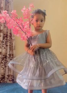 Grey Silver Sparkly Flower Girl Dress