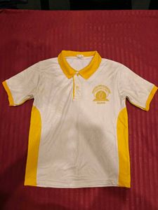 Boys Yellow Polo Tshirt