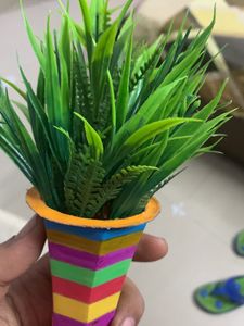 Handmade Pot And Plant