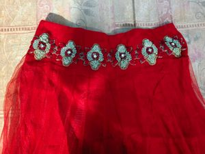 Zari Embroidery Deep Red Ethnic Skirt