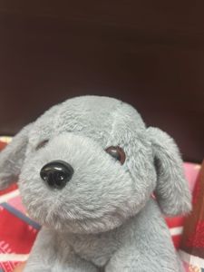 Cute Plush Puppy