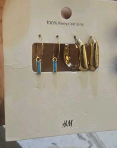 Hoops Max Earring.
