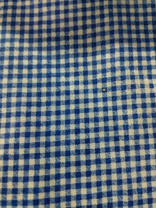 Blue &amp; White Gingham Fabric
