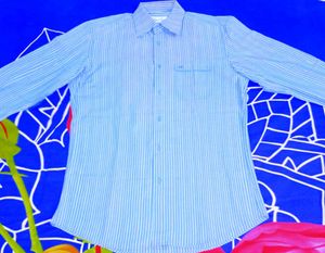 Striped Blue Shirt