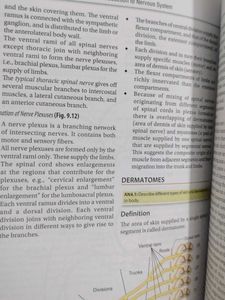 General Anatomy Textbook