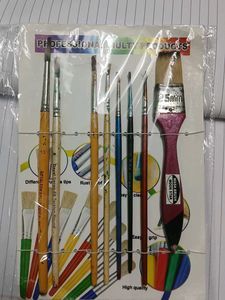 Professional Paint Brush Set