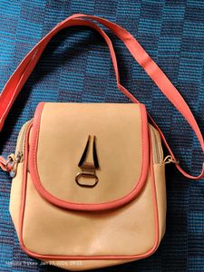 Cute Crossbody Bag