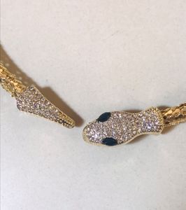nackless,choker