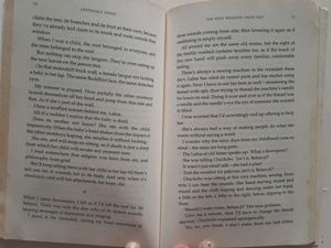 THE ROOF BENEATH THEIR FEET - Fiction Book