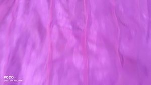 Purple Embroidered Kurta Set