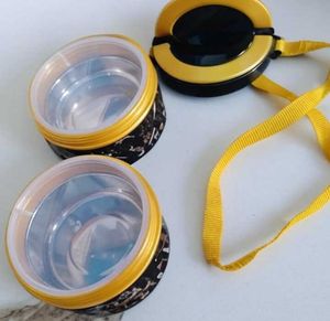 Elegant Dual-Layer Insulated Tiffin for School & O