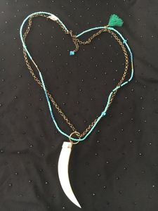 Mother of pearl claw and Turquoise beads Necklace.
