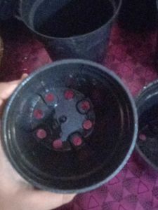 5 Plastic Pots- 3 Small 2 Very Smal