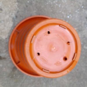 Set of 4 Plastic Flower Pots