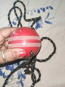 Cricket Ball - Reliable Super