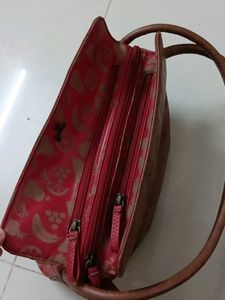 Baggit Handbag