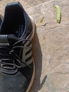 Shoes For Routine Wear