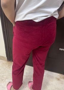 Maroon Velvet Casual Pants