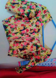 Red , Golden, Green Colour Blouse
