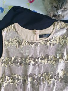 Nude Sequence Bodycon Dress