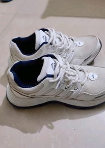 ASIAN Wonder-11 Running Shoes,Training Shoes,Gym Shoes,Sports Shoes for Men… Size 7.8 Available Buy Now Cheapest Coins 🥰