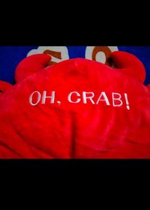 Cute Soft Toy Cap For Everyone