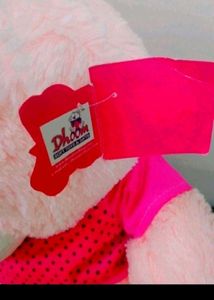 New Teddy Bear