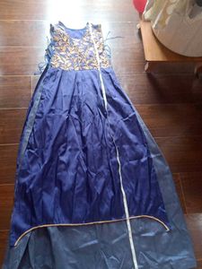 Elegant Blue Embroidered Dress