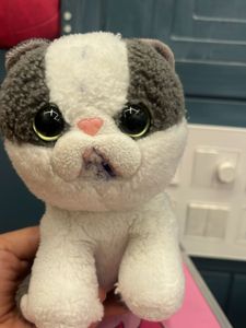 Cute Plush Cat Toy