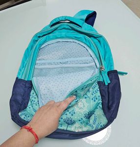 Genie Snowflake 36 L Teal &amp; Blue School Backpack