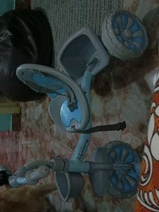 Lifelong Tricycle for Toddlers