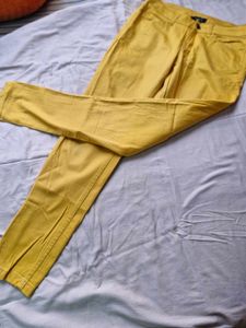 Mustard Casual Pants