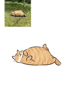 Custom Pet Doodles and Portait Illustrations