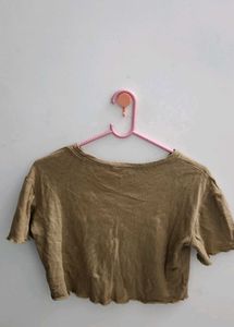 Dragon Crop Top
