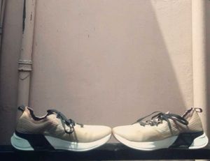 Branded Shoes