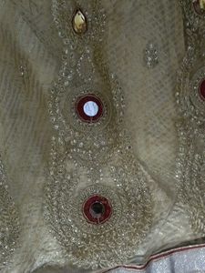 Elegant Embroidered Ethnic Skirt