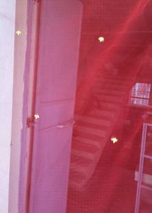 Red Embroidered Dupatta